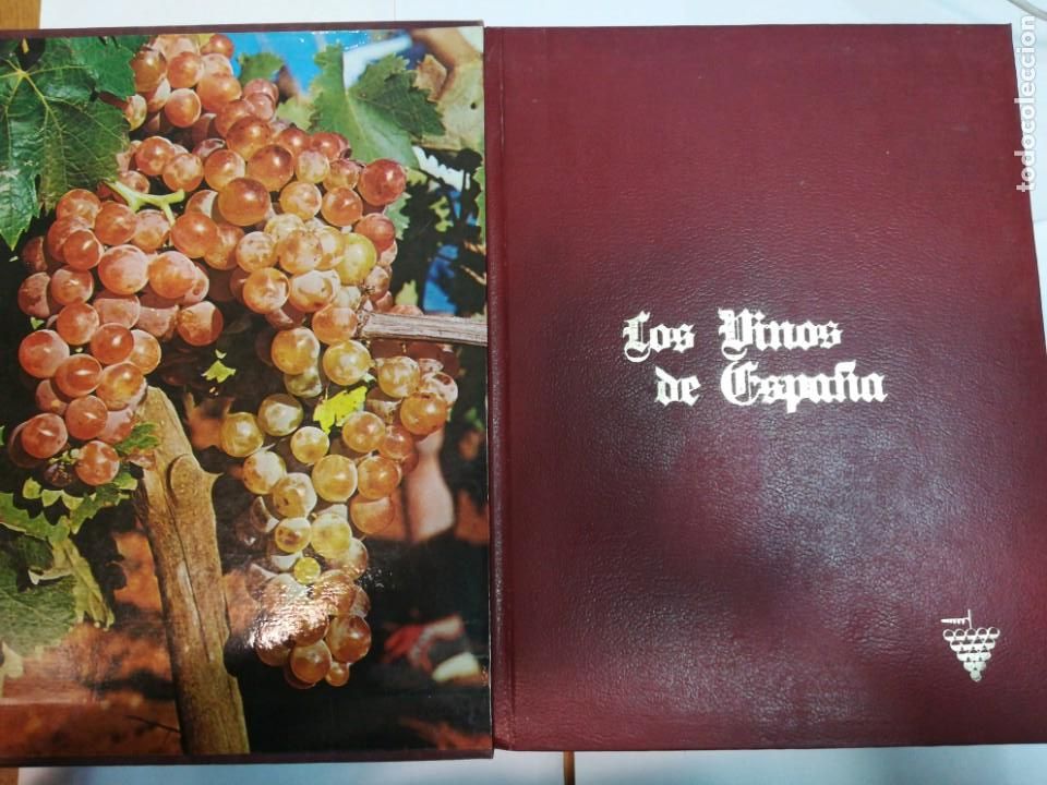 Libros: JOSE DEL CASTILLO Los vinos de Espa&ntilde;a SA2949 - Foto 1