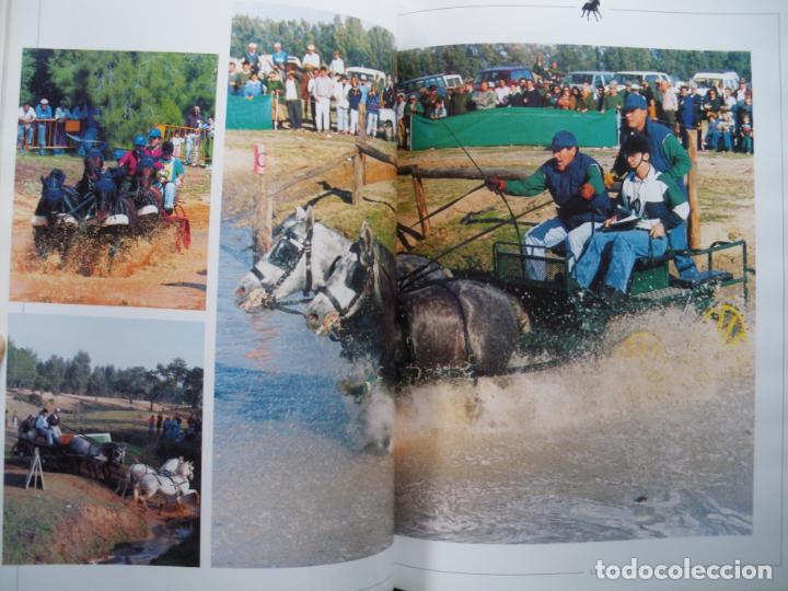 Libros: Camacho Dom&iacute;nguez, Jos&eacute; Mar&iacute;a - Caballos andaluces - Foto 2