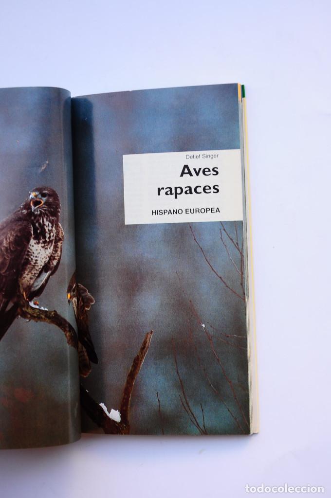 Libros: Aves rapaces - SINGER, Detlef - Foto 2