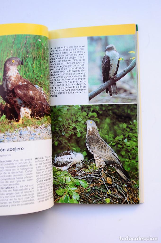 Libros: Aves rapaces - SINGER, Detlef - Foto 3