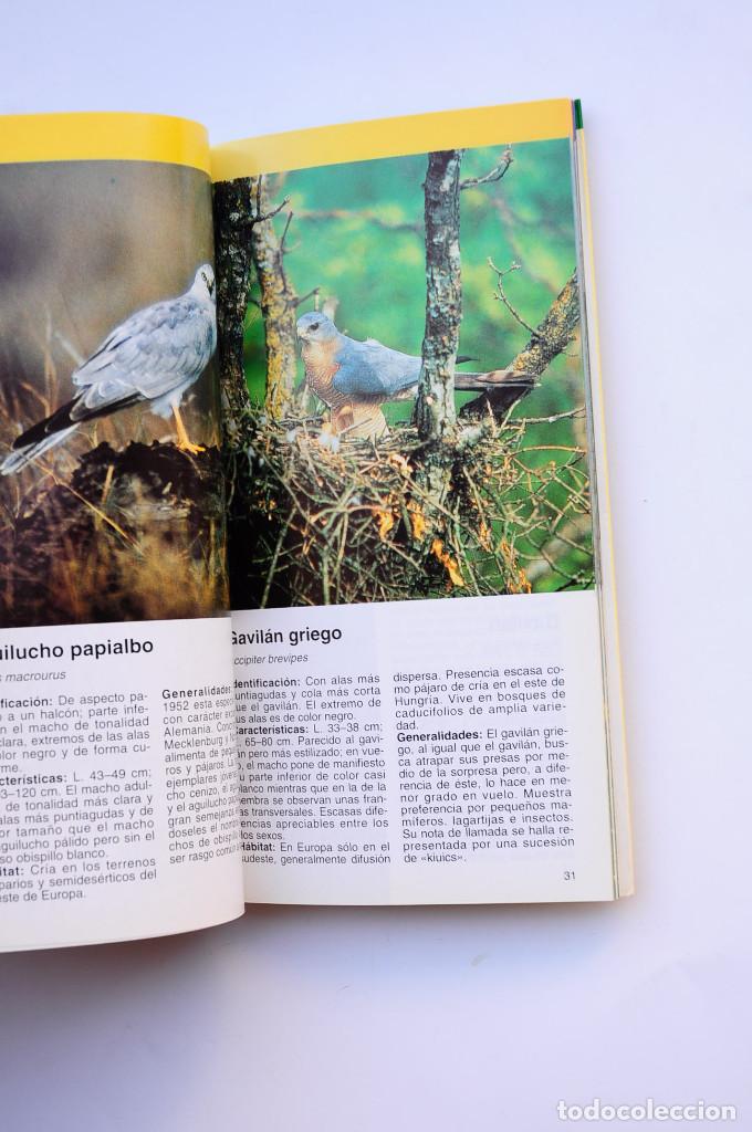 Libros: Aves rapaces - SINGER, Detlef - Foto 4