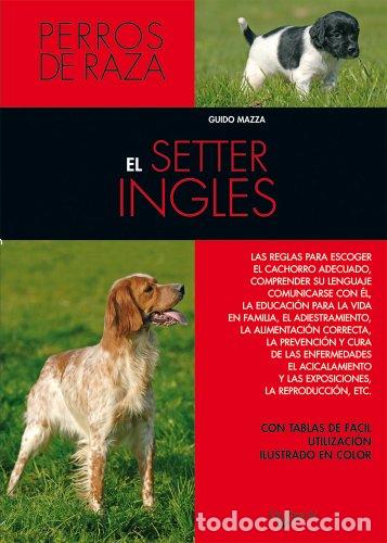 Libros: EL SETTER INGL&Eacute;S - Mazza,Guido - Foto 1