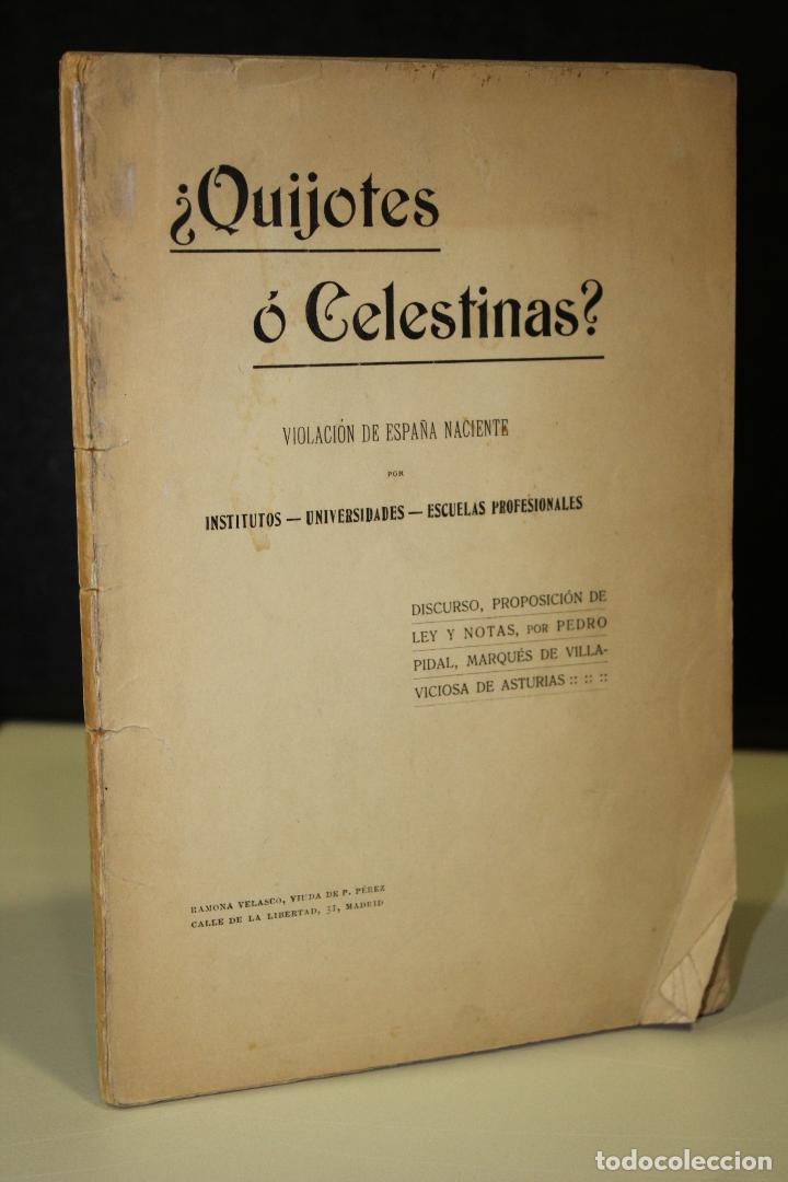 Libros: &iquest;Quijotes o Celestinas? Violaci&oacute;n de Espa&ntilde;a naciente por Institutos, universidades, escuelas profesi