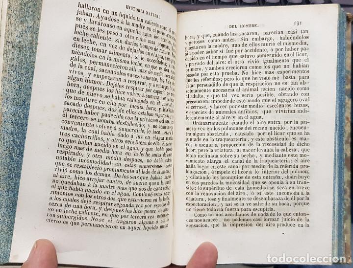 Libros: OBRAS COMPLETAS DE BUFFON tomo XIX: COMPLEMENTOS tomo segundo II - Buffon / P Lesson - Foto 3