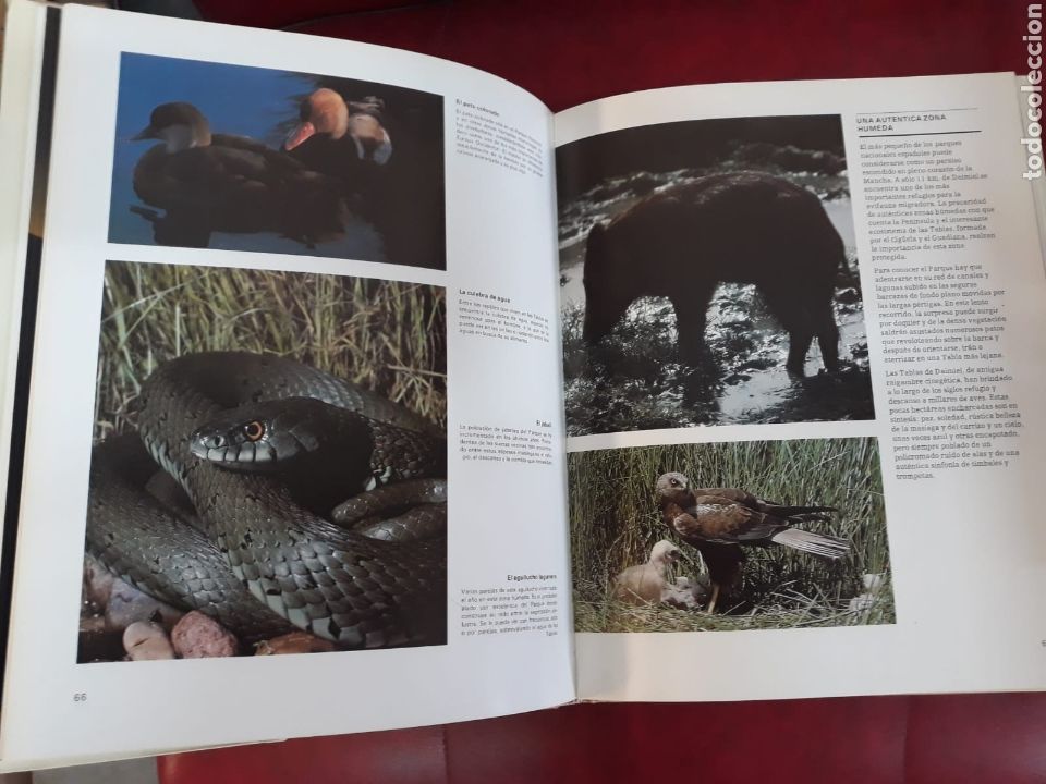 Libros: PARQUES NACIONALES ESPA&Ntilde;OLES - LUIS BLAS ARITIO - Foto 3