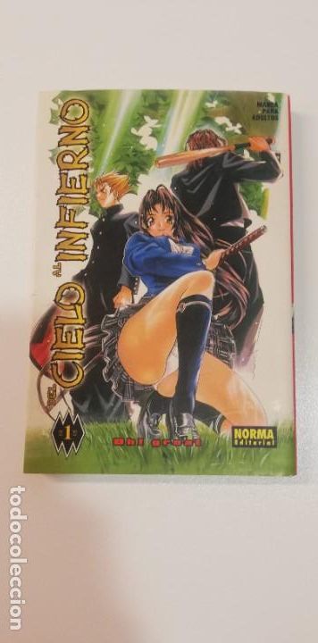 Libros: V- LIBRO/ COMIC DEL CIELO AL INFIERNO OH! GREAT - Foto 1
