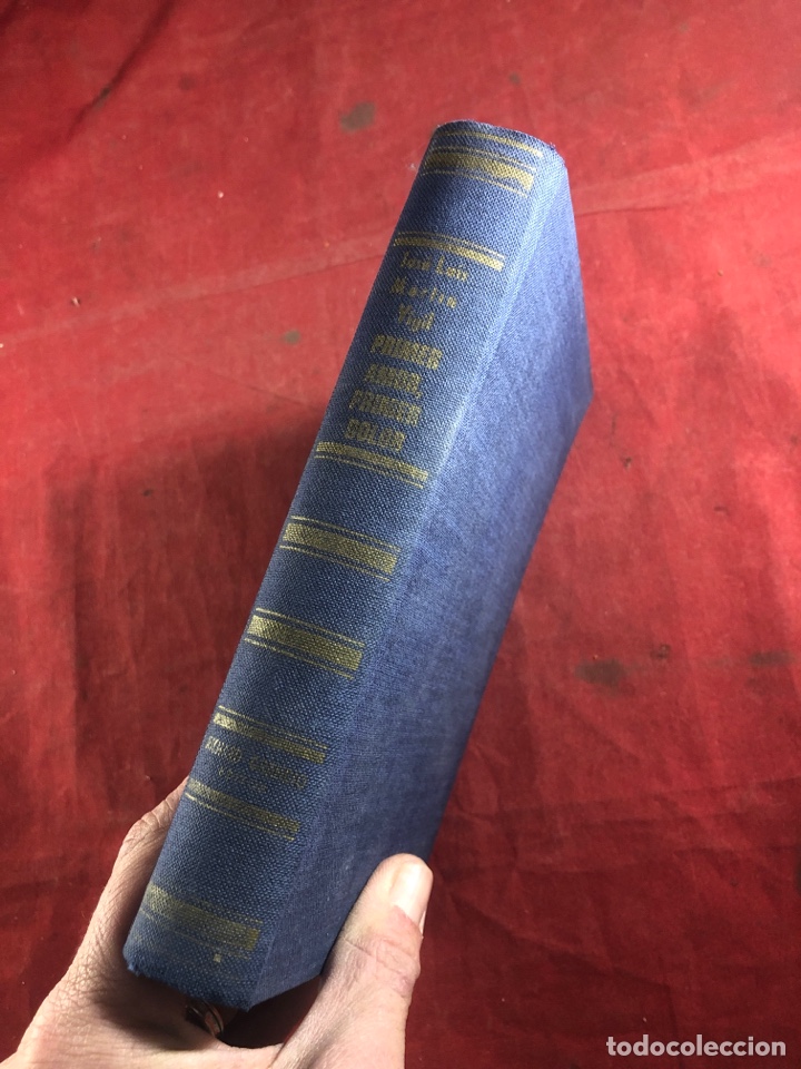 Libros: Primer amor, primer dolor - Foto 2