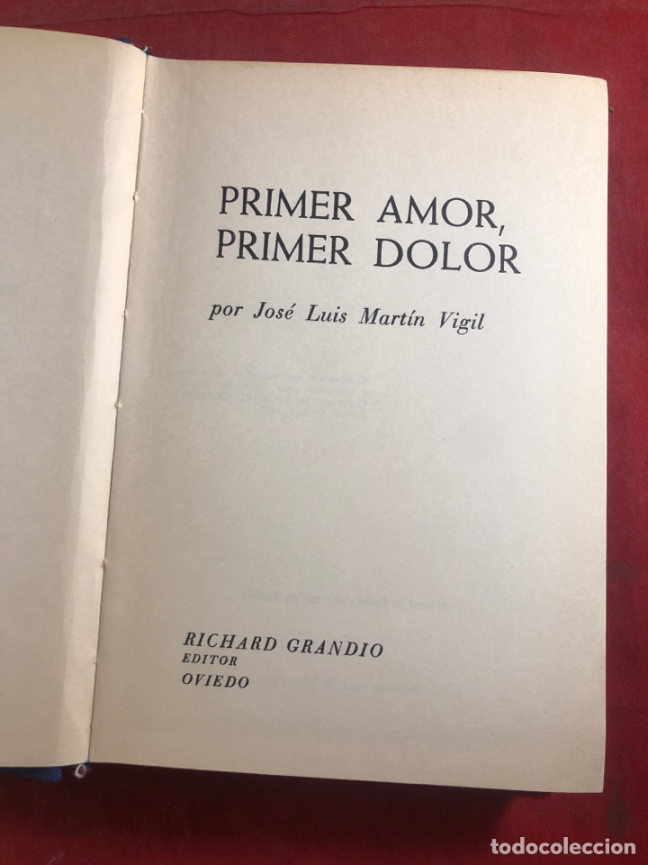 Libros: Primer amor, primer dolor - Foto 1