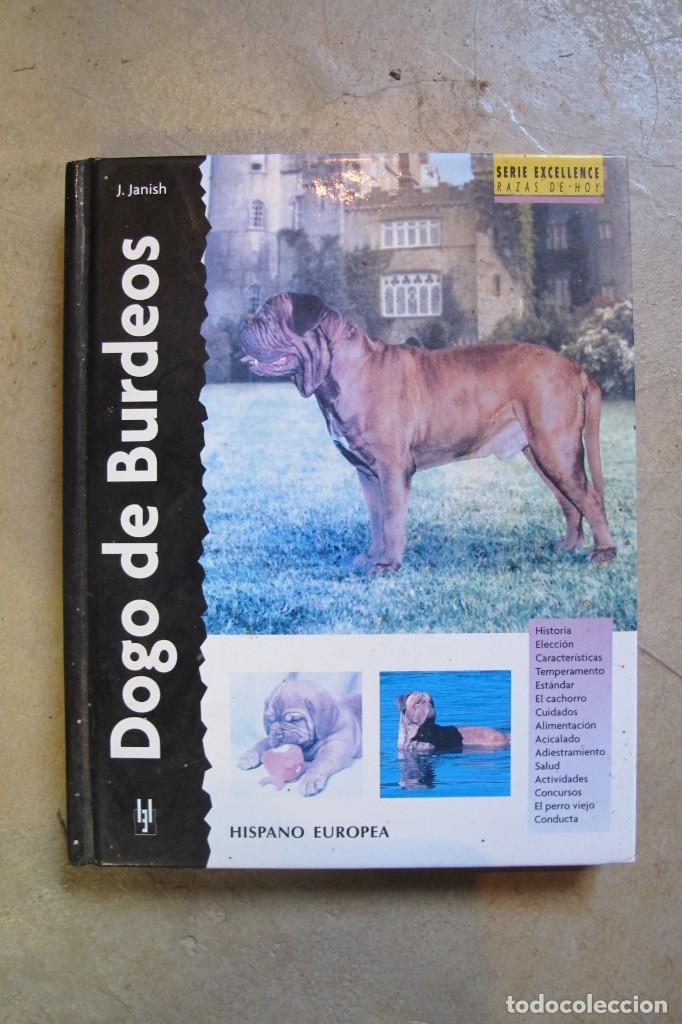 Libros: DOGO DE BURDEOS. POR J. JOSEPH JANISH - Foto 1