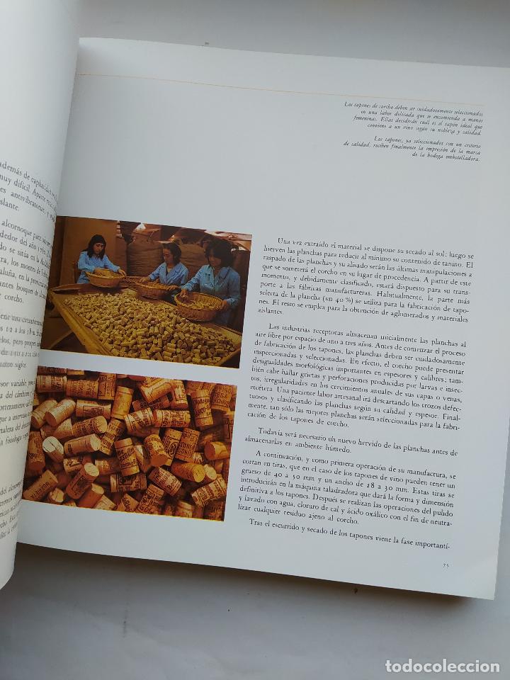 Libros: Los vinos de Espa&ntilde;a. - Miguel A. Torres. TDK569B - Foto 4