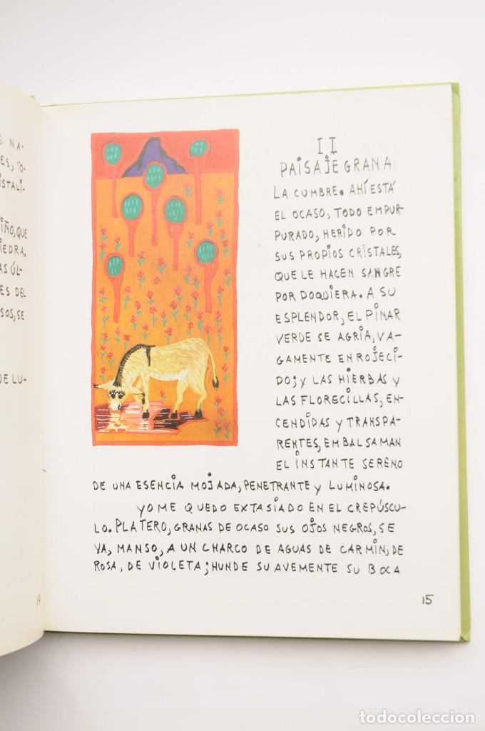 Libros: Platero y yo. Eleg&iacute;a andaluza - JIM&Eacute;NEZ, Juan Ram&oacute;n - Foto 6