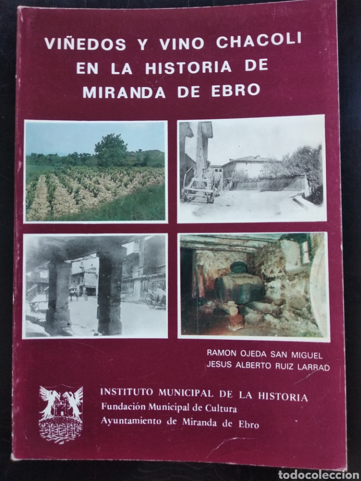 Libros: Vi&ntilde;edos y vino chacol&iacute; en la historia de Miranda de Ebro - Foto 1