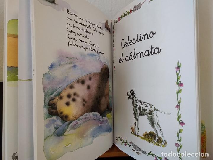 Libros: Cuentos con animales - Ana Serna Vara - Foto 2