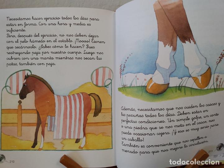 Libros: Cuentos con animales - Ana Serna Vara - Foto 3