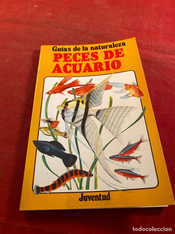 Libros: Peces de acuario - Foto 1