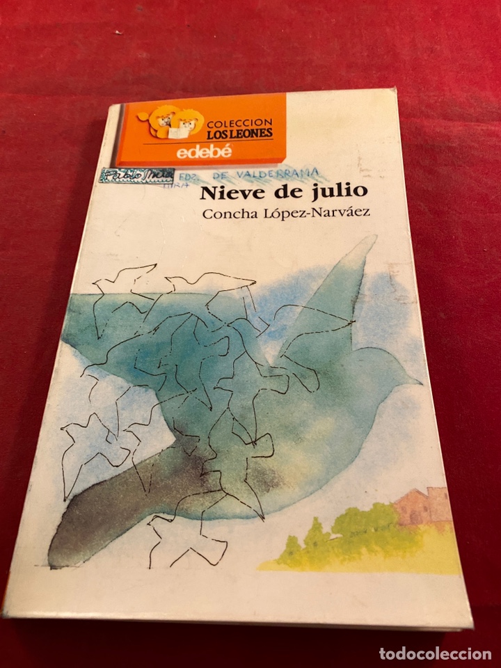 Libros: Nieve de julio - Foto 1