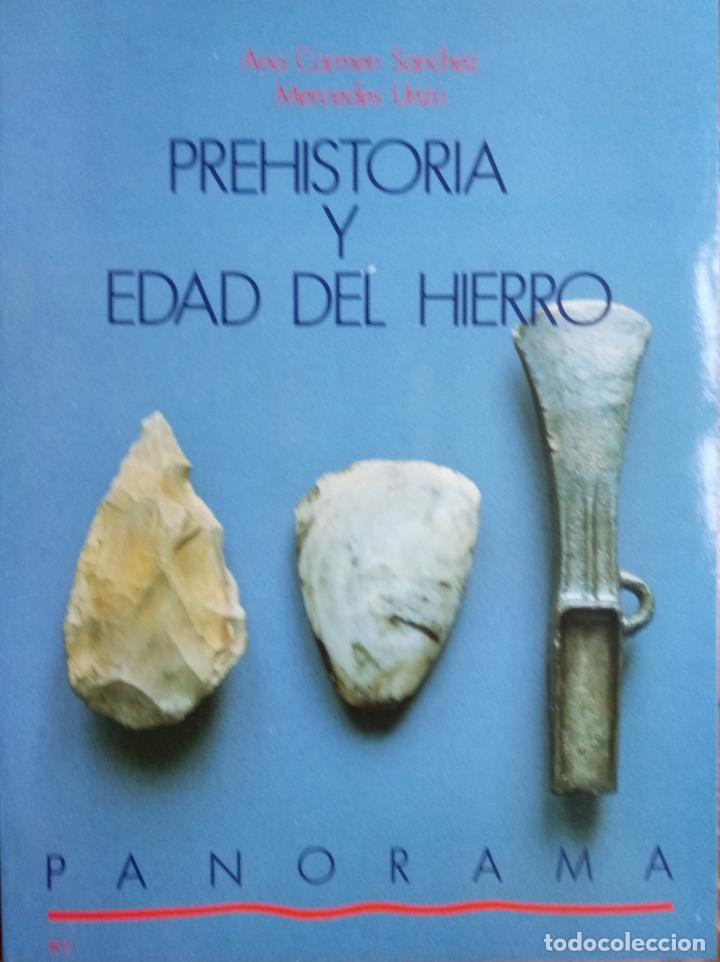 Libros: PREHISTORIA Y EDAD DEL HIERRO-NAVARRA-ABD PANORAMA. ABD. - Foto 1