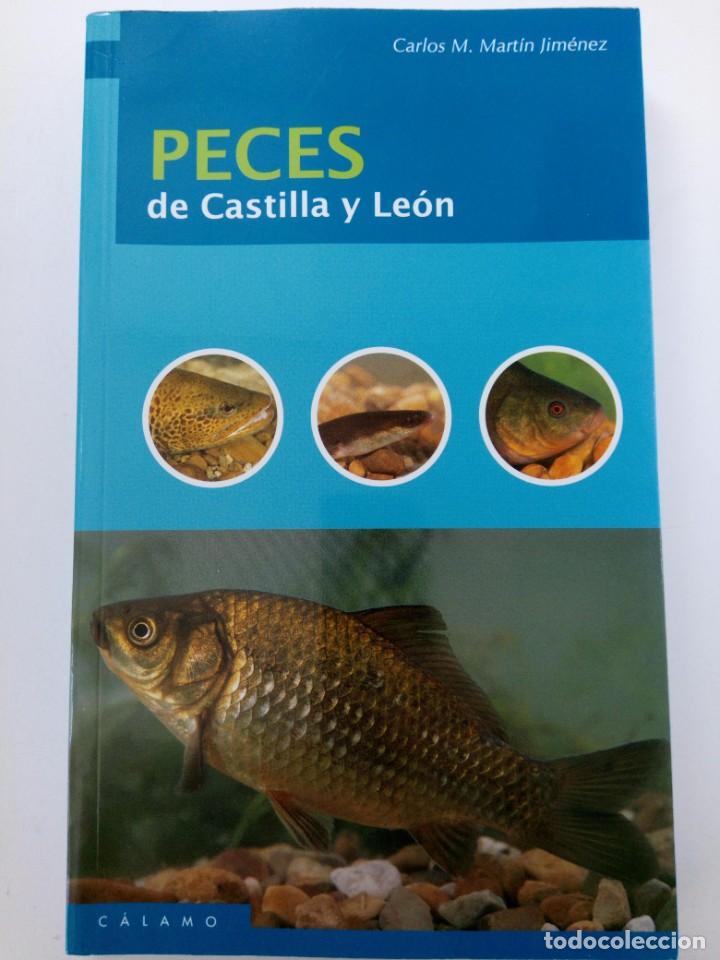 Libros: PECES DE CASTILLA Y LE&Oacute;N - CARLOS M. MART&Iacute;N JIMENEZ - C&Aacute;LAMO - Foto 1