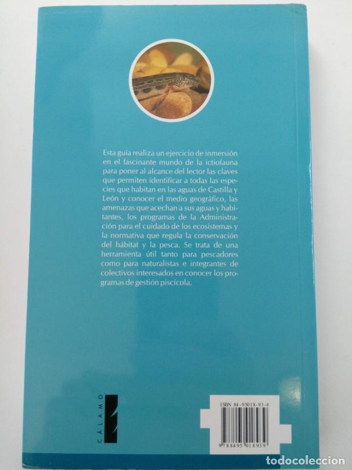 Libros: PECES DE CASTILLA Y LE&Oacute;N - CARLOS M. MART&Iacute;N JIMENEZ - C&Aacute;LAMO - Foto 2