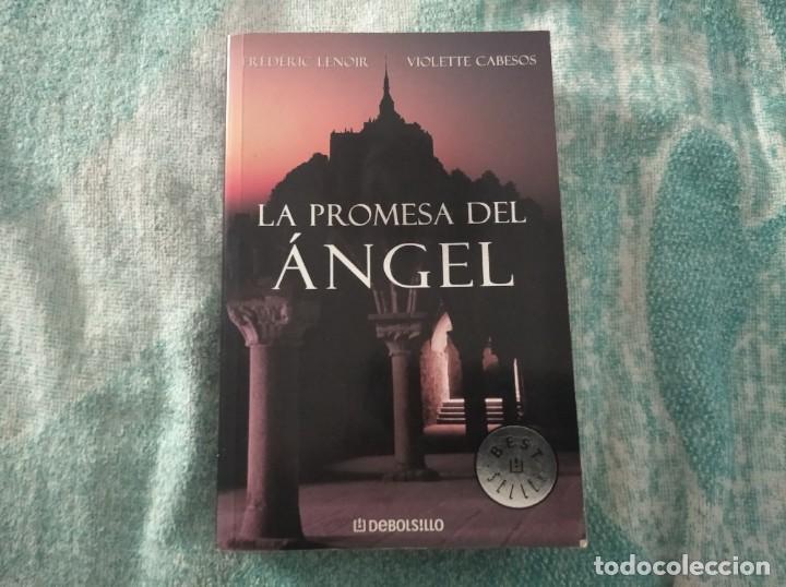 Libros: Fr&eacute;d&eacute;ric Lenoir - La promesa del &Aacute;ngel - Foto 2