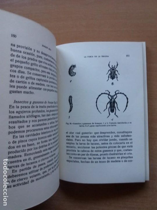 Libros: LA PESCA DE LA TRUCHA. J. AGUT. EDITORIAL SINTES - Foto 3