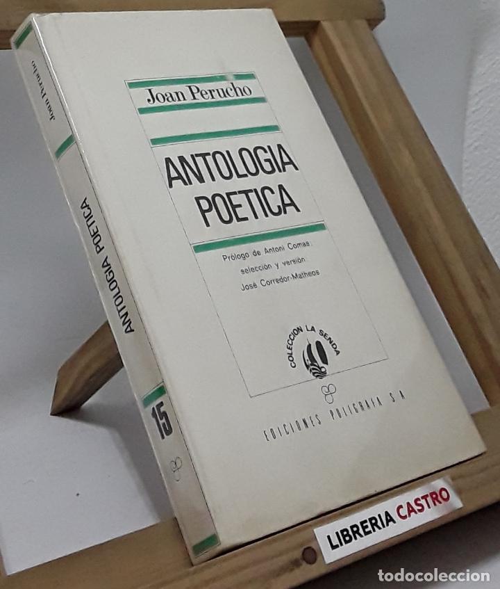 Libros: Antolog&iacute;a po&eacute;tica - Joan Perucho - Foto 1