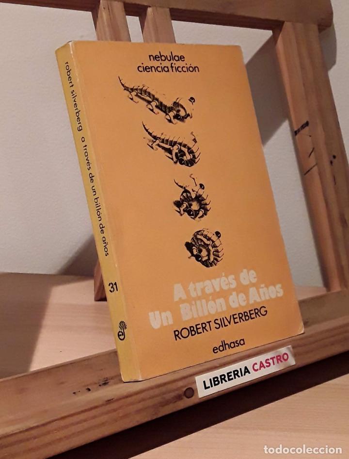 Libros: A trav&eacute;s de un bill&oacute;n de a&ntilde;os - Robert Silverberg - Foto 1