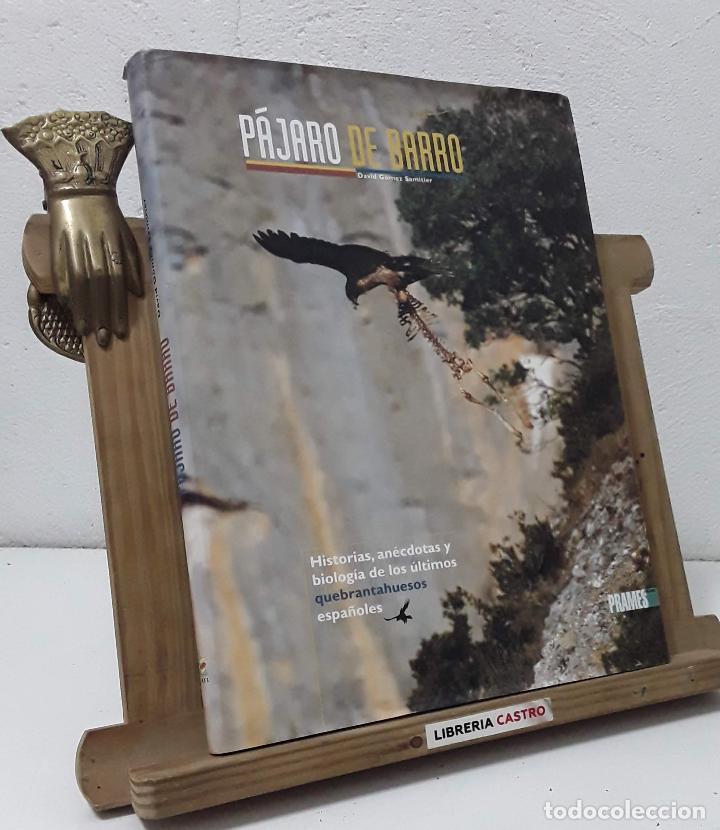 Libros: P&aacute;jaro de barro - David G&oacute;mez Samitier - Foto 1