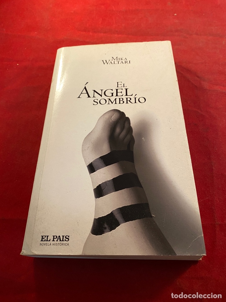 Libros: El &Aacute;ngel sombr&iacute;o - Foto 1