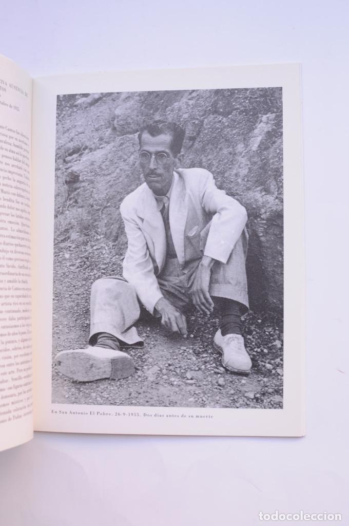 Libros: Clemente Cantos, Pintor - MUSEO RAM&Oacute;N GAYA - Foto 3