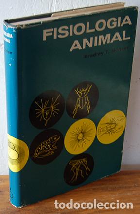 Libros: FISIOLOG&Iacute;A ANIMAL - BRADLEY T. SCHEER - Foto 1