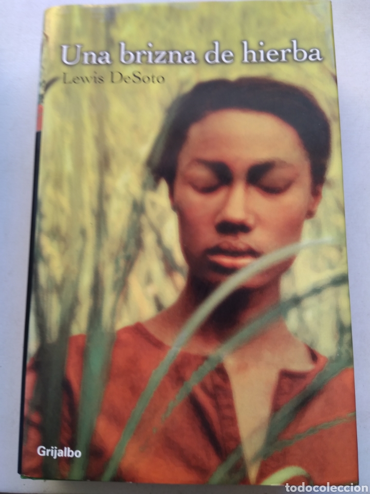 Libros: UNA BRIZNA DE HIERBA/LEWIS DESOTO - Foto 1