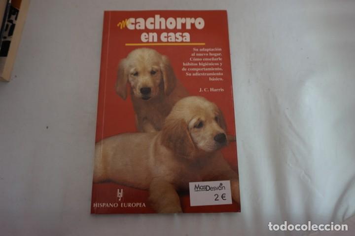 Libros: ARRI5-E/ MI CACHORRO EN CASA - J. C. HARRIS / HISPANO EUROPEA - Foto 1