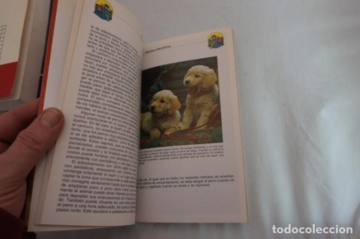 Libros: ARRI5-E/ MI CACHORRO EN CASA - J. C. HARRIS / HISPANO EUROPEA - Foto 3