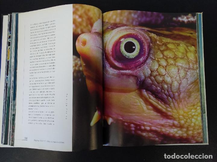 Libros: Nuestro planeta, el para&iacute;so azul - Foto 3