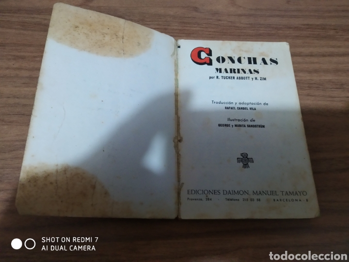 Libros: CONCHAS MARINAS / EDICIONES DAIMON - Foto 3