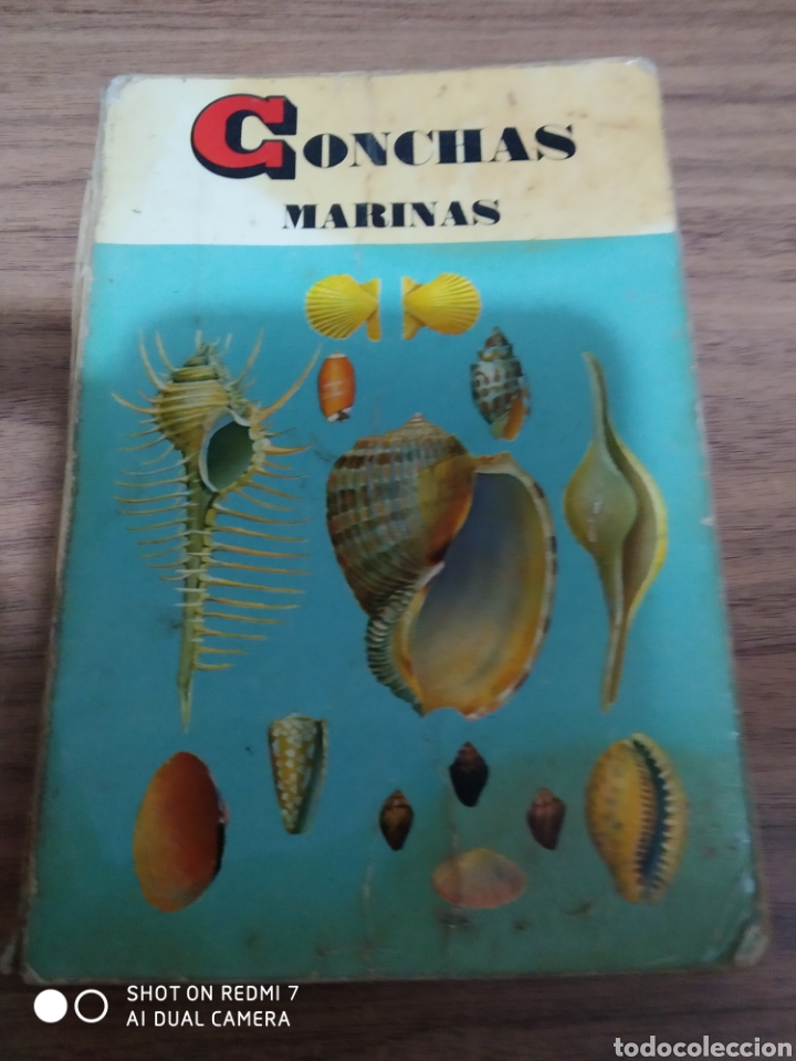 Libros: CONCHAS MARINAS / EDICIONES DAIMON - Foto 1