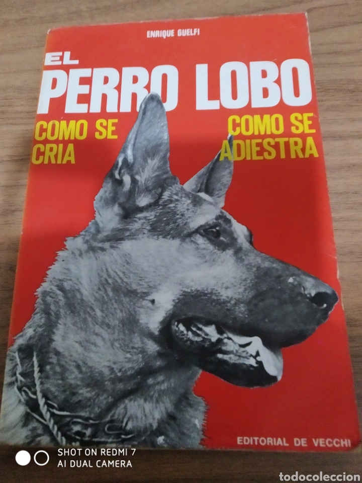 Libros: EL PERRO LOBO - Foto 1