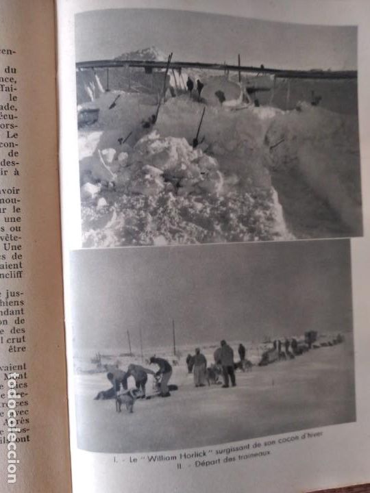 Libros: P&ocirc;le Sud. - Bird, Richard. - Foto 3