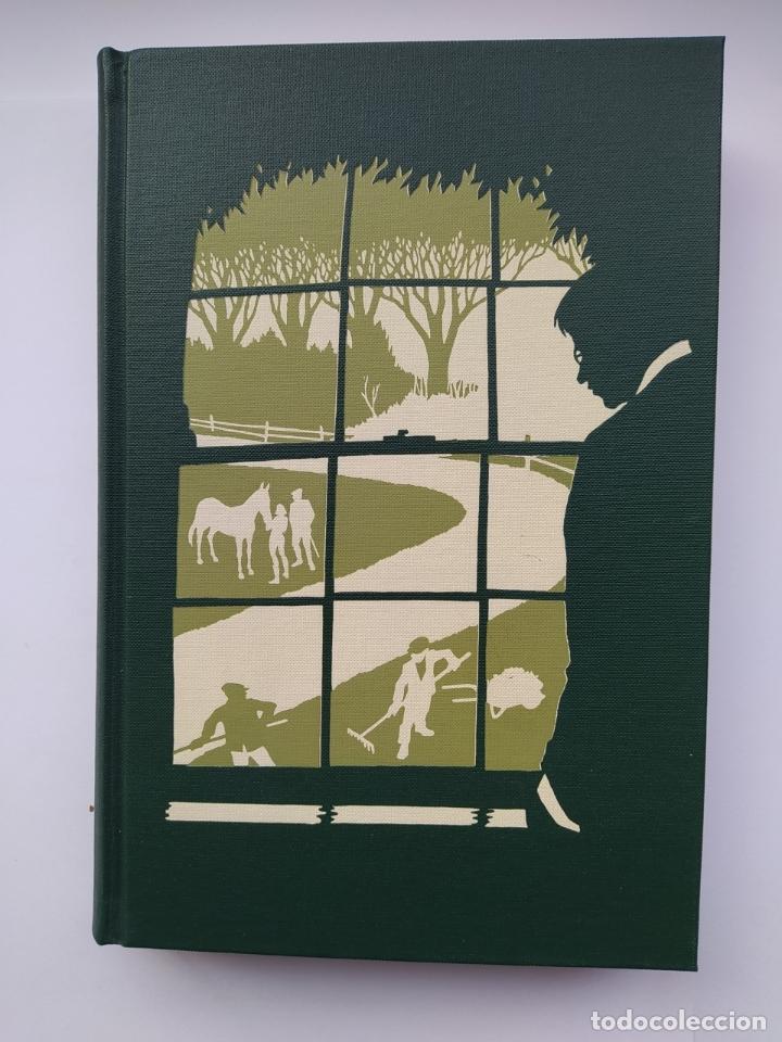 Libros: WOODBROOK. - DAVID THOMSON. TDK615 - Foto 1