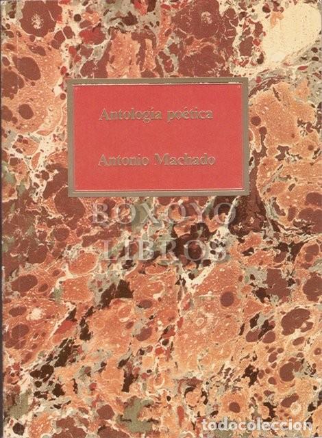 Libros: MACHADO, Antonio. Antolog&iacute;a po&eacute;tica - Foto 1