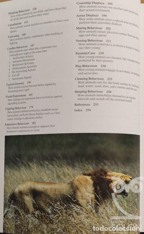 Libros: Animalwatching - Desmond Morris - Foto 2