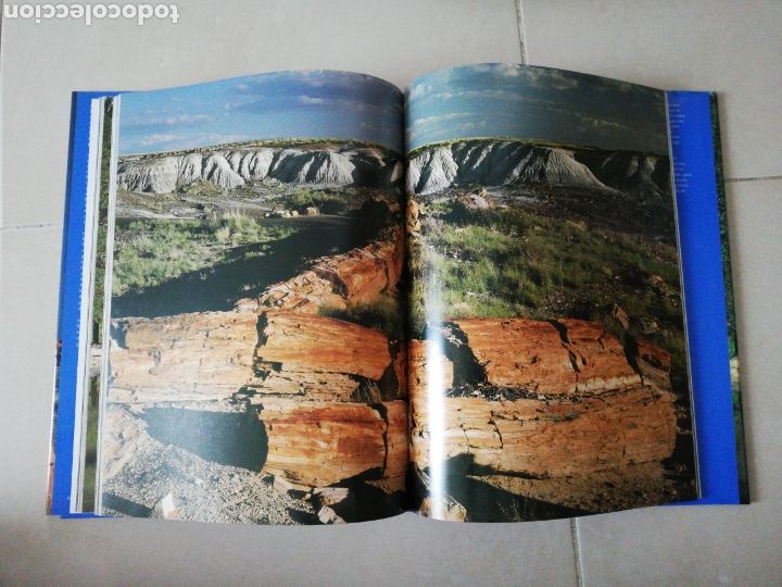 Libros: El oeste americano &rdquo;los parques nacionales&rdquo; editorial Evergreen - Foto 4