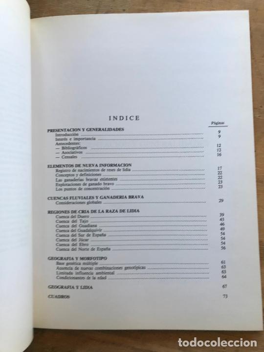 Libros: GEOGRAF&Iacute;A ESPA&Ntilde;OLA DEL TORO DE LIDIA. - Foto 4