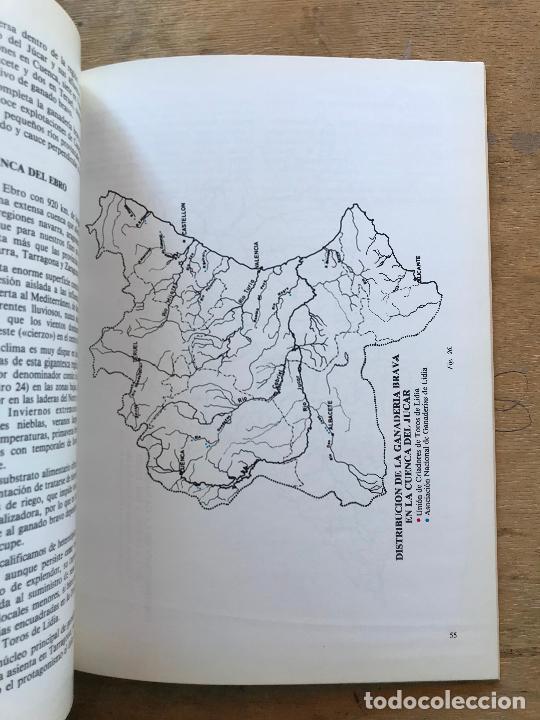 Libros: GEOGRAF&Iacute;A ESPA&Ntilde;OLA DEL TORO DE LIDIA. - Foto 5