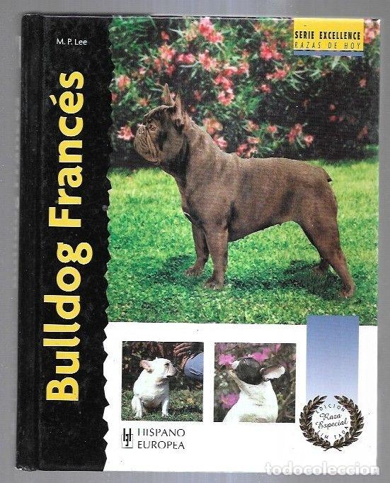 Libros: BULLDOG FRANCES - M. P. LEE - Foto 6