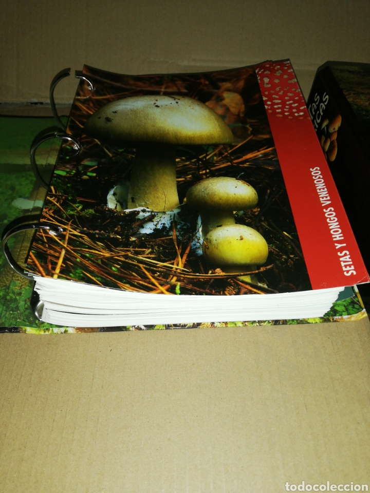 Libros: Setas ib&eacute;ricas(coleccionable 3 carpetas) Planeta DeAgostini - Foto 3