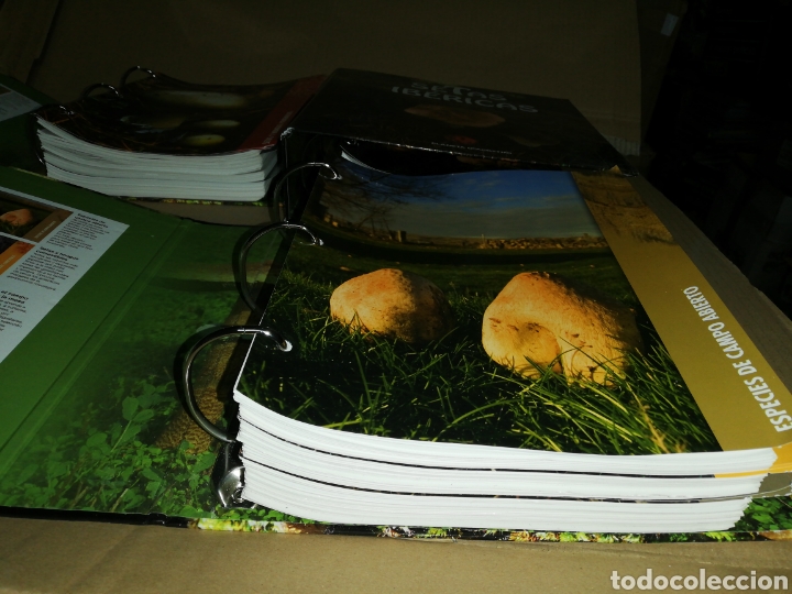Libros: Setas ib&eacute;ricas(coleccionable 3 carpetas) Planeta DeAgostini - Foto 6