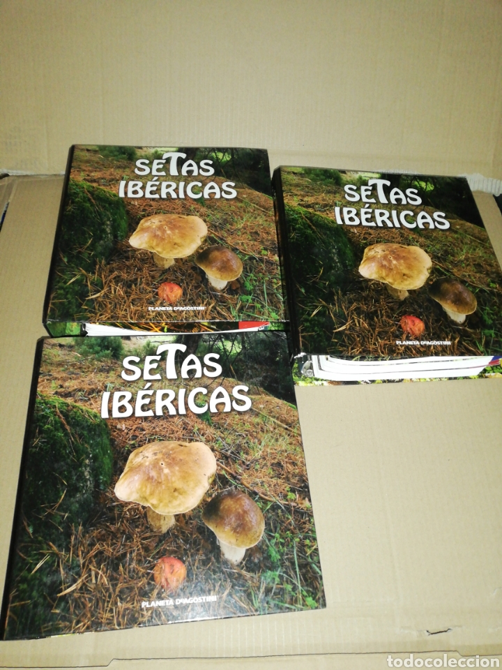 Libros: Setas ib&eacute;ricas(coleccionable 3 carpetas) Planeta DeAgostini - Foto 1