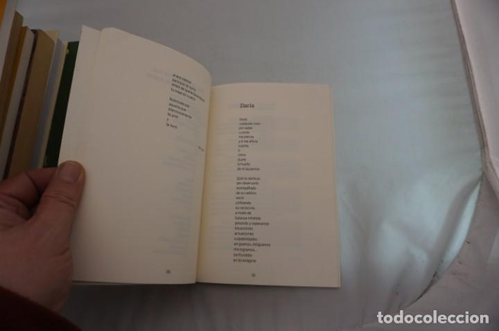 Libros: 16B - PALPITO SUBITO - STELLA MARIS GONZALEZ BALBUENA - Foto 4